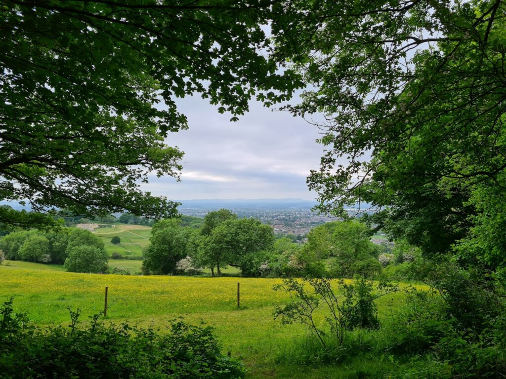 View of Cheltenham in Gloucestershire from Leckhampton Hill on a sunny day